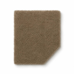 Taupe - 0232 carpet